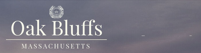 bluffstop