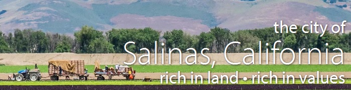 salinastop