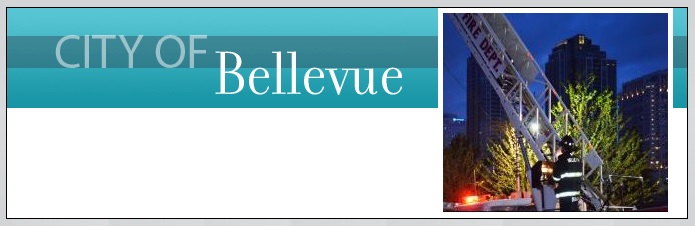 belveutop