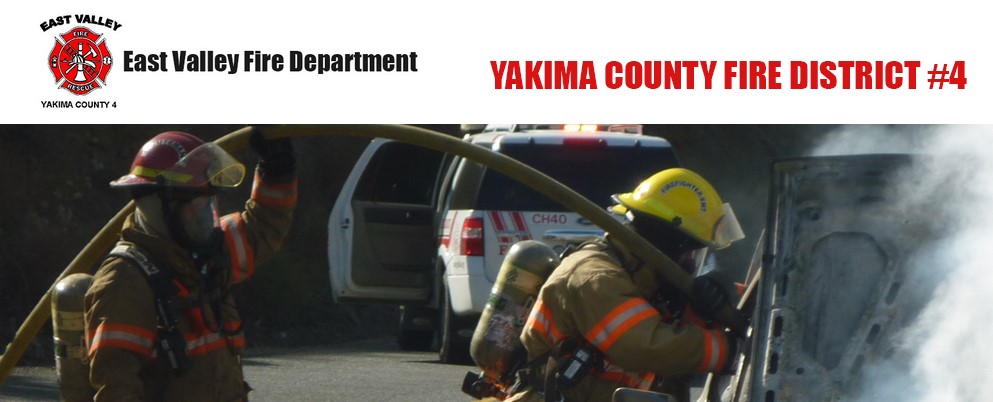 yak
